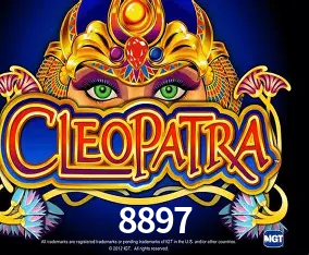 8897 Rio de Janeiro - Professional Dealers